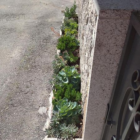 فيلا Casa Morgado براغا المظهر الخارجي الصورة